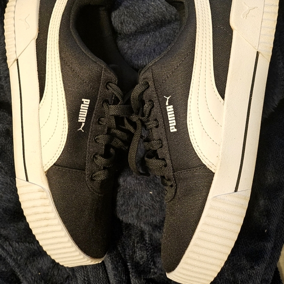 Pumas - Picture 1 of 3